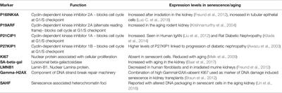 Cellular Senescence and Senotherapies in the Kidney: Current Evidence and Future Directions